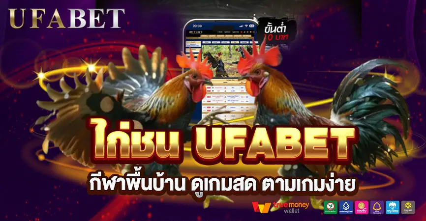 ไก่ชน UFABET ทางเลือกเดิมพันกีฬาพื้นบ้านที่คนไทยตามจริง